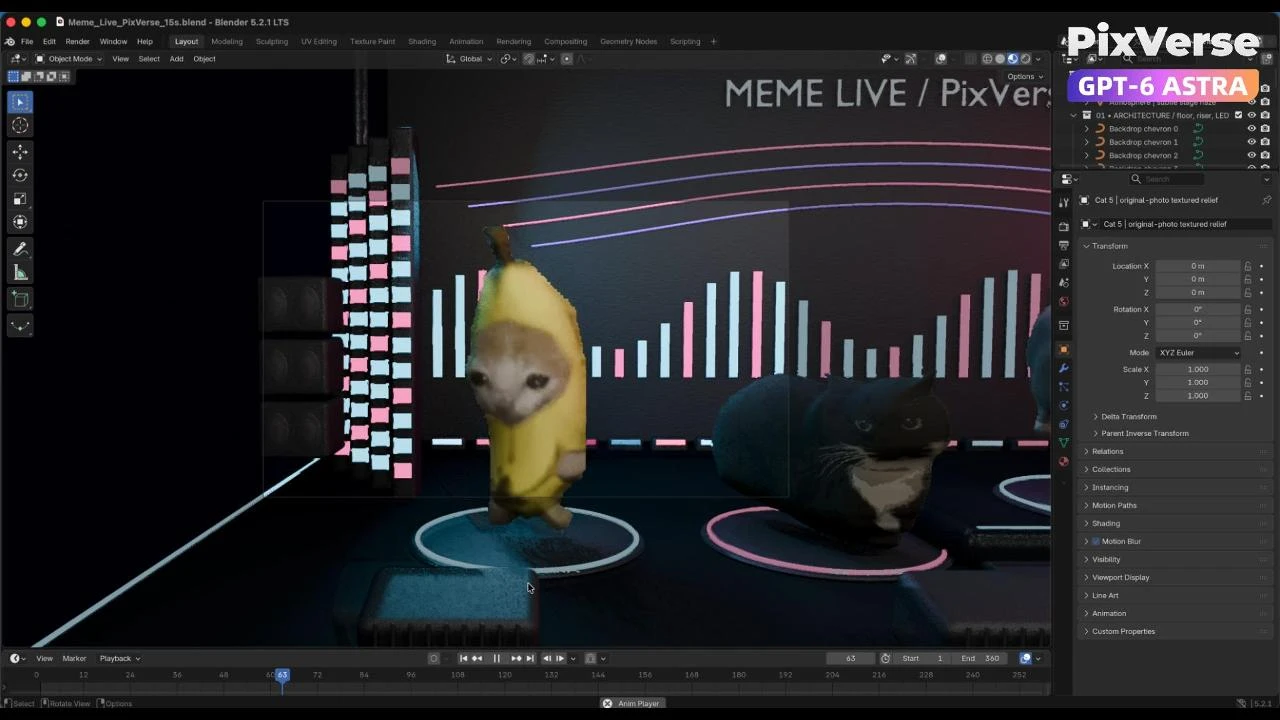 Build a Live Cat Meme Stage