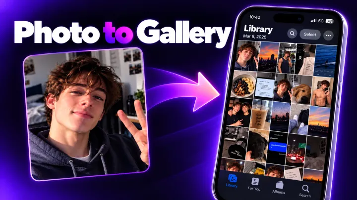 Camera Rolls